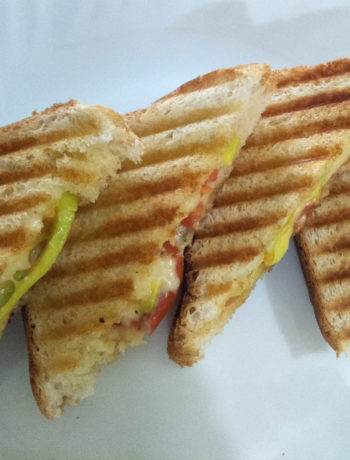 Avocado Cheese Tomato Sandwich Grilled